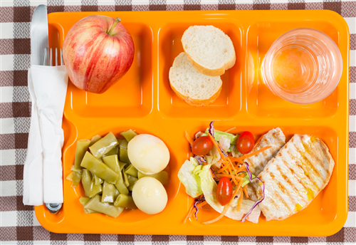 Servizio refezione scolastica